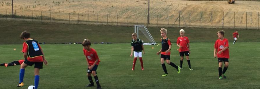 Fotballskole ekstrauke 2019